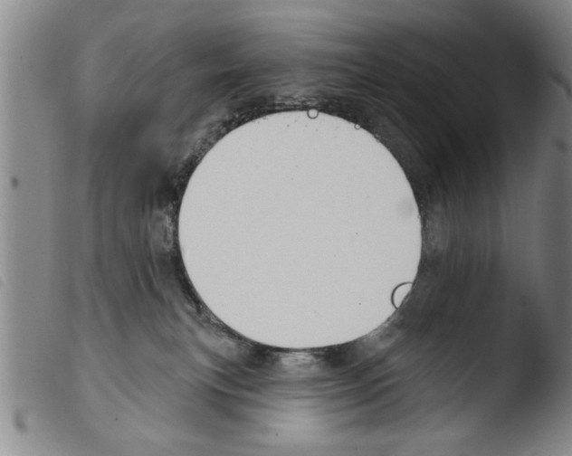 X0000103460183200810240958