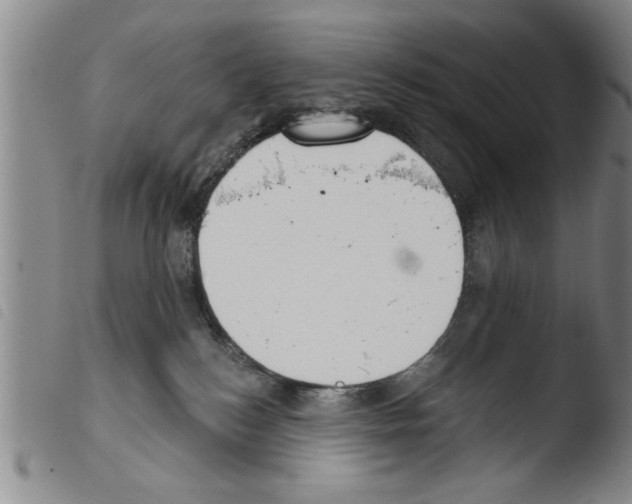 X0000103460184200810240958