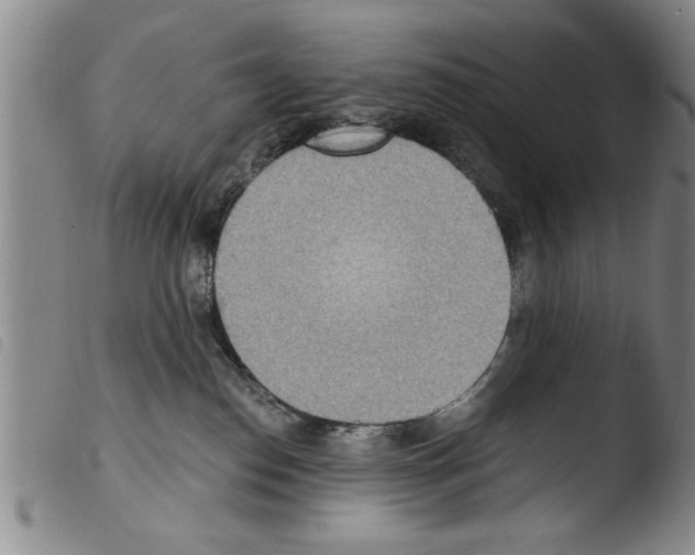 X0000103460186200810240958