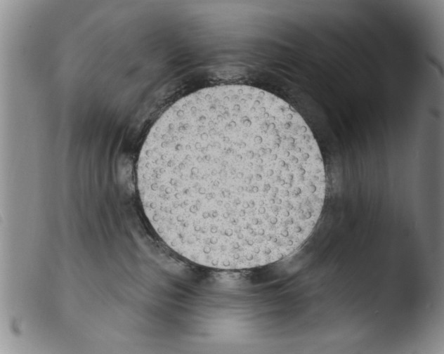 X0000103460187200810240958