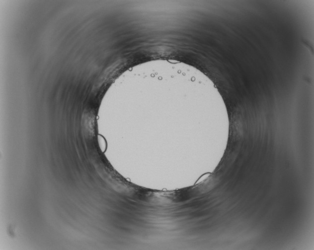 X0000103460188200810240958