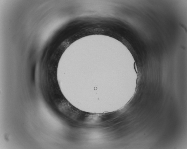 X0000103460190200810240958