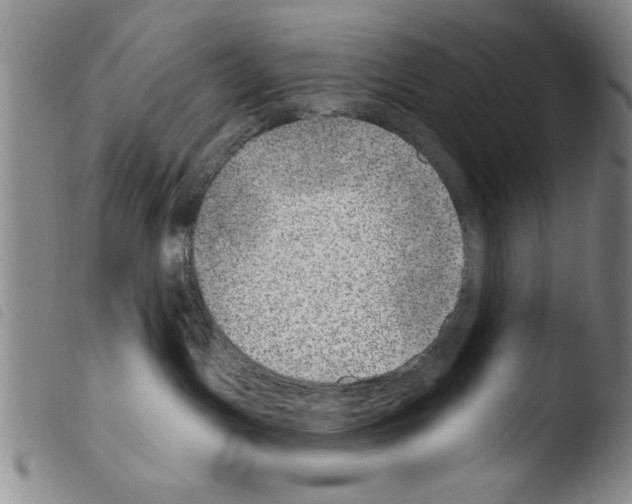 X0000103460191200810240958