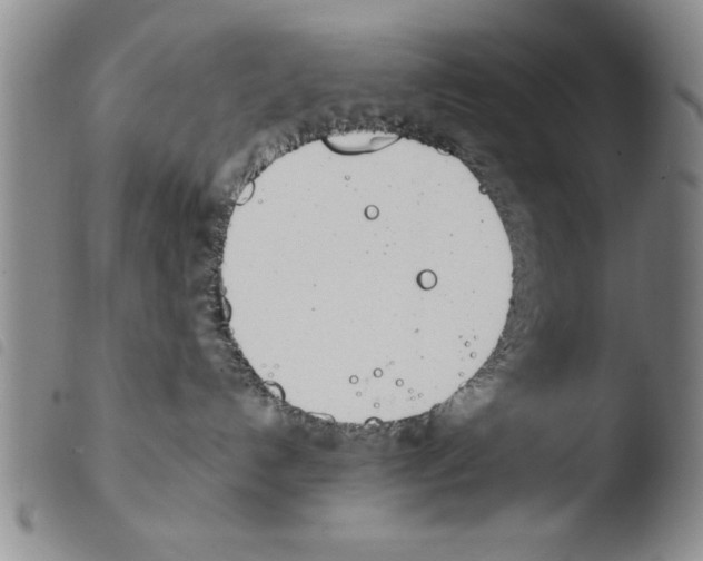 X0000103460192200810240958