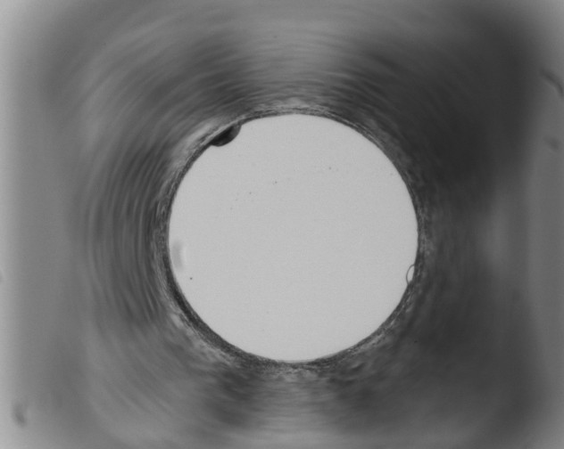 X0000103460193200810240957