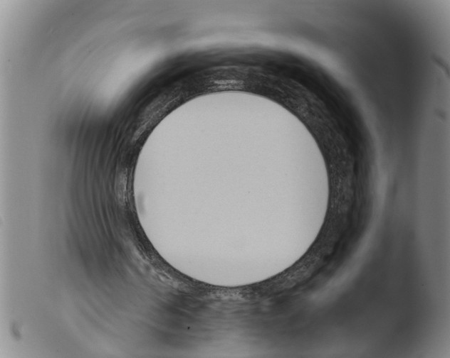 X0000103460194200810240957