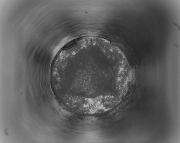 X0000103460195200810240957