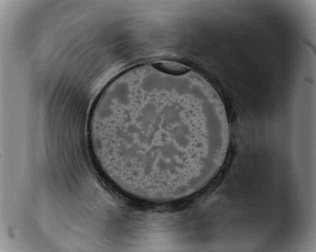 X0000103460196200810240957