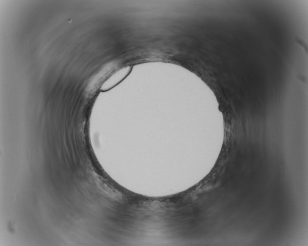 X0000103460197200810240957