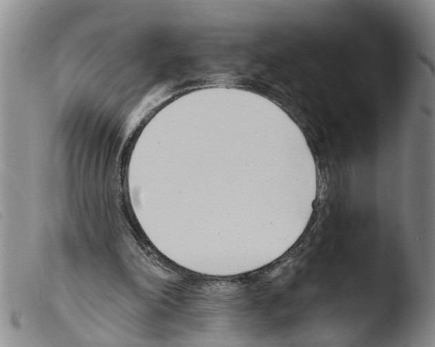 X0000103460198200810240957