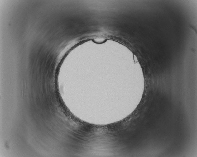 X0000103460200200810240957