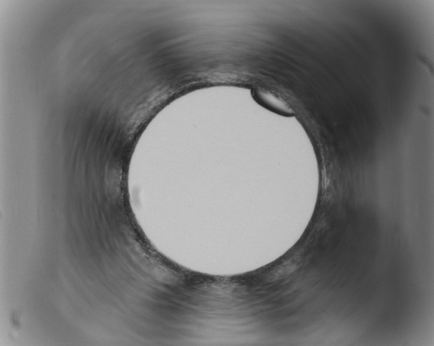 X0000103460201200810240957