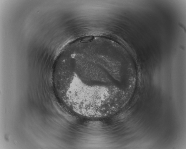 X0000103460203200810240957