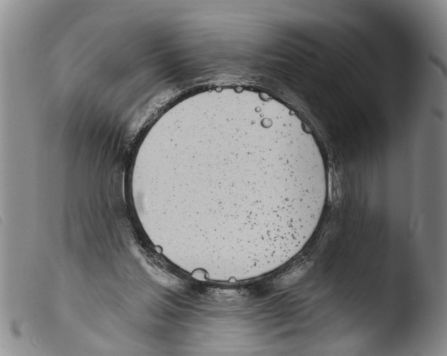 X0000103460205200810240957