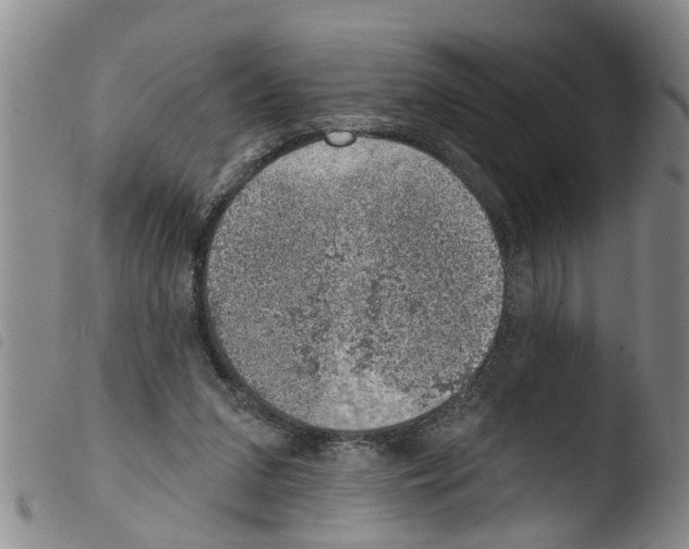 X0000103460207200810240957