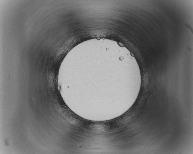 X0000103460209200810240957