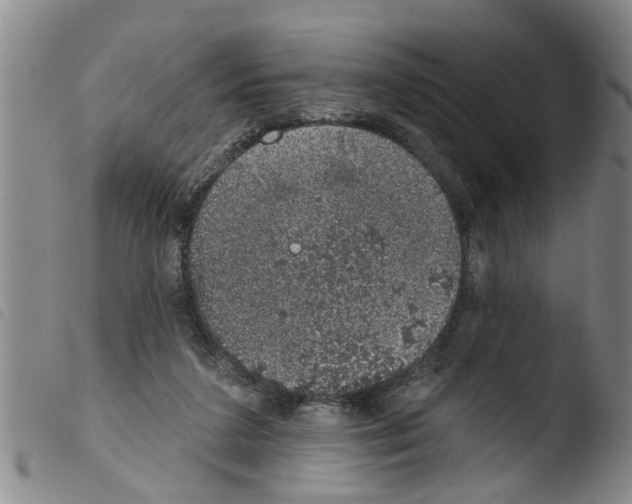 X0000103460211200810240957