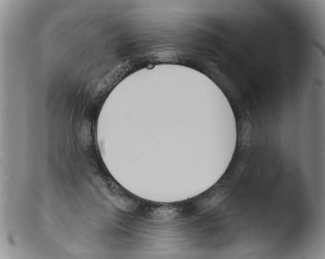 X0000103460213200810240957
