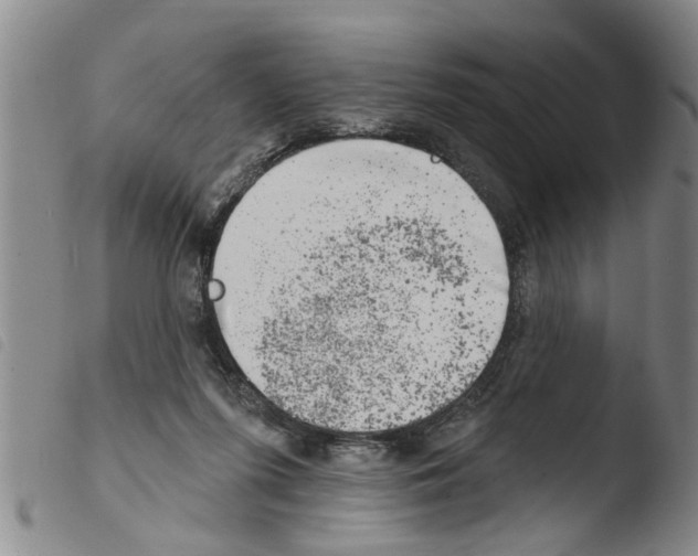 X0000103460215200810240957