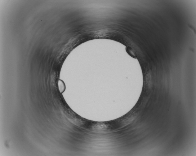 X0000103460217200810240957