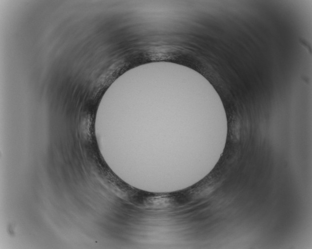 X0000103460219200810240957