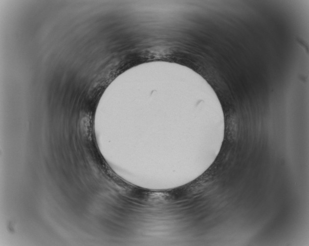 X0000103460222200810240957
