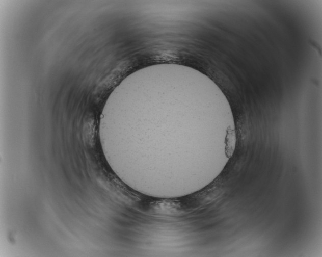 X0000103460223200810240957