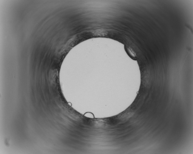 X0000103460229200810240957