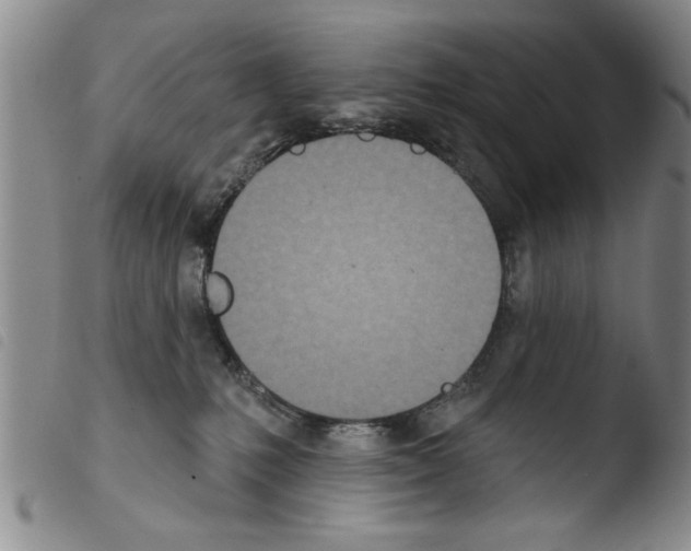 X0000103460231200810240957