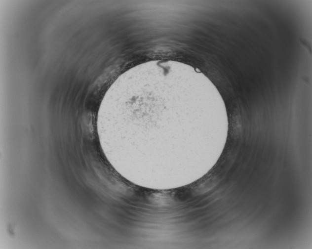 X0000103460232200810240957