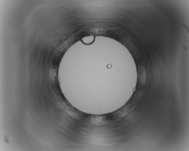 X0000103460235200810240957