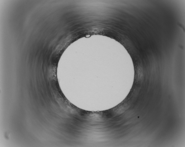 X0000103460236200810240956