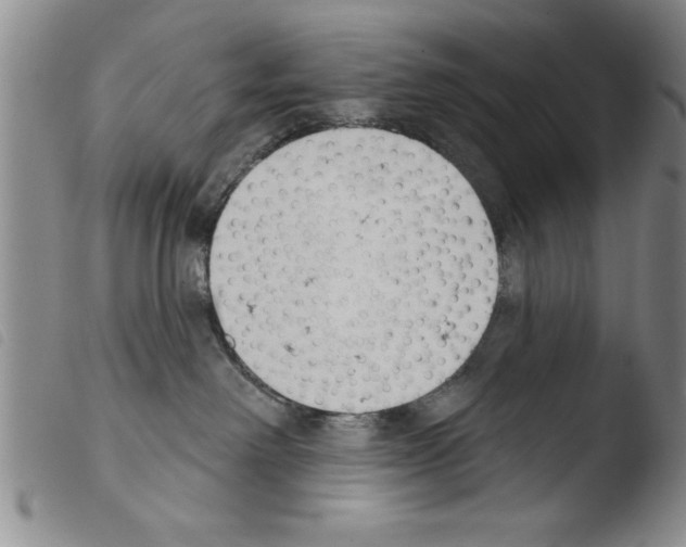 X0000103460238200810240956