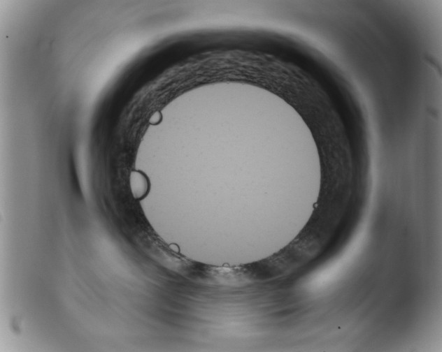 X0000103460239200810240956