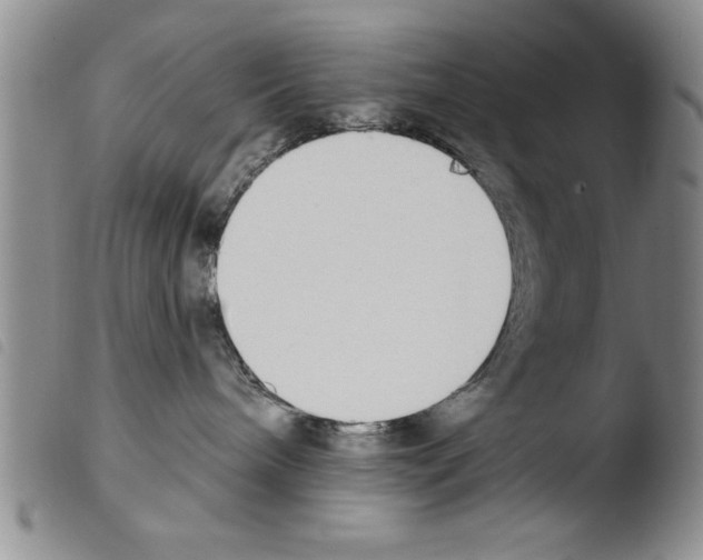 X0000103460240200810240956