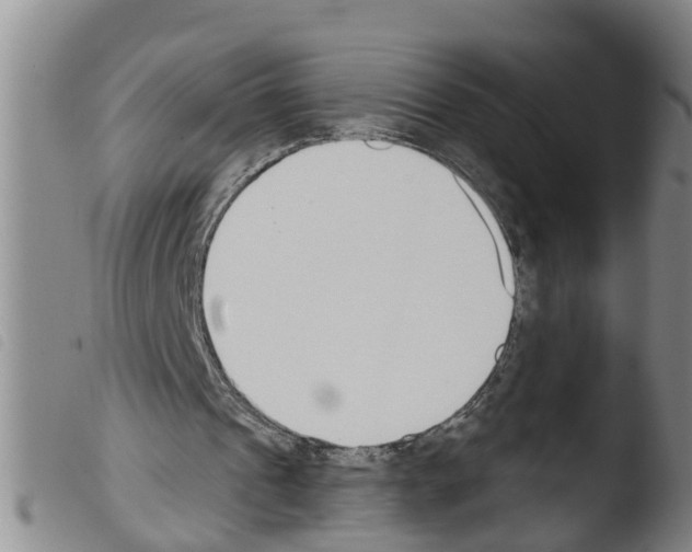 X0000103460241200810240956