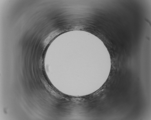 X0000103460242200810240956