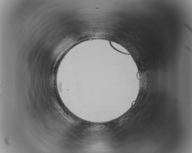 X0000103460243200810240956