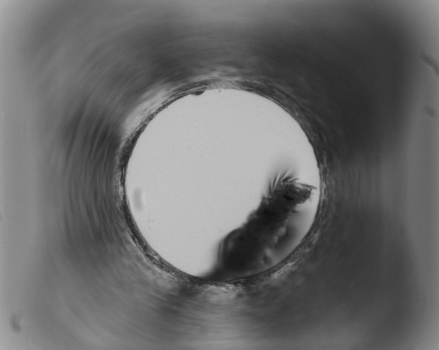 X0000103460245200810240956