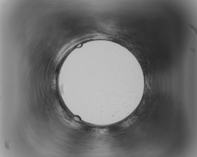 X0000103460247200810240956