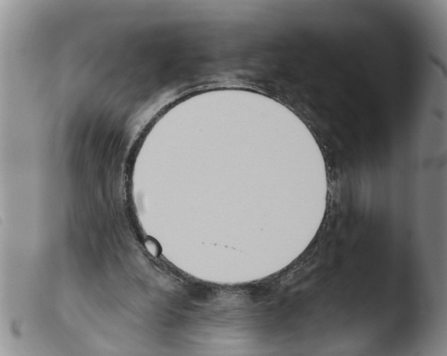 X0000103460248200810240956
