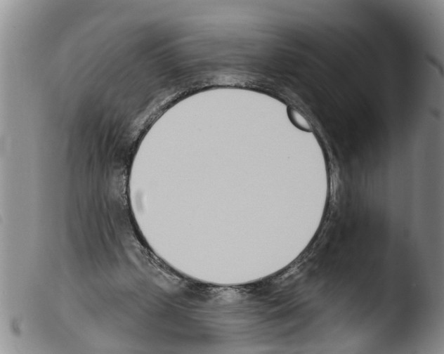 X0000103460249200810240956