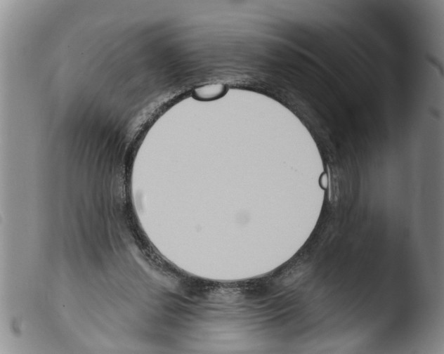 X0000103460252200810240956