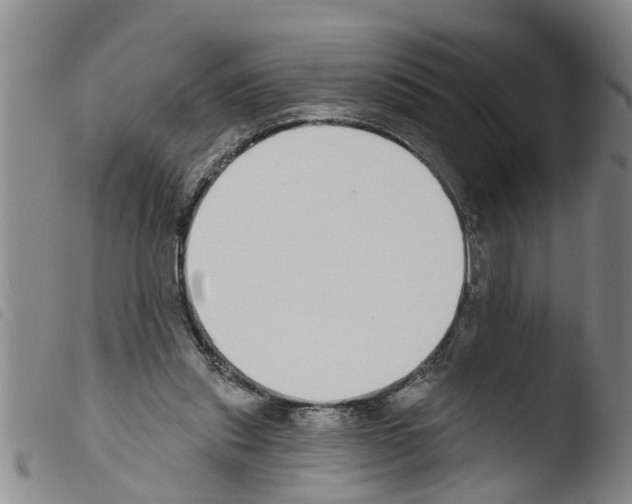 X0000103460253200810240956