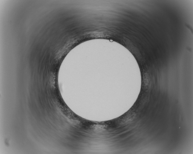 X0000103460255200810240956