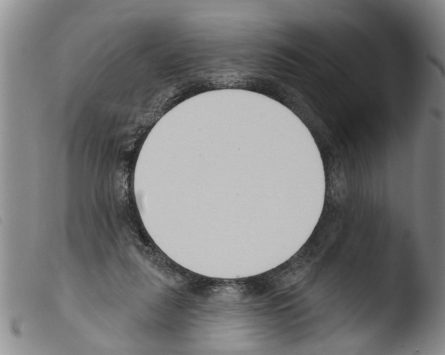X0000103460259200810240956