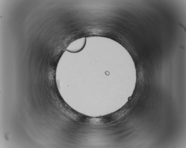 X0000103460265200810240956