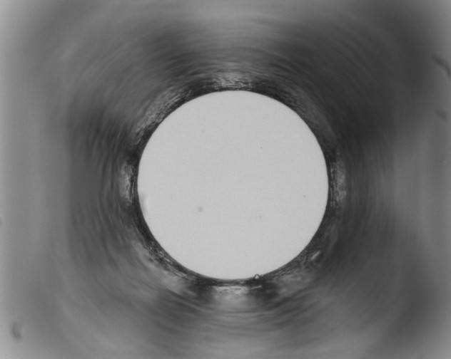 X0000103460266200810240956