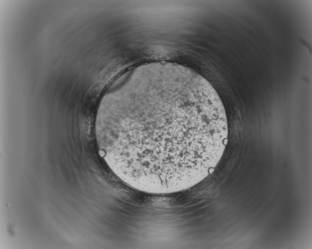 X0000103460268200810240956