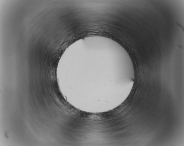 X0000103460272200810240956